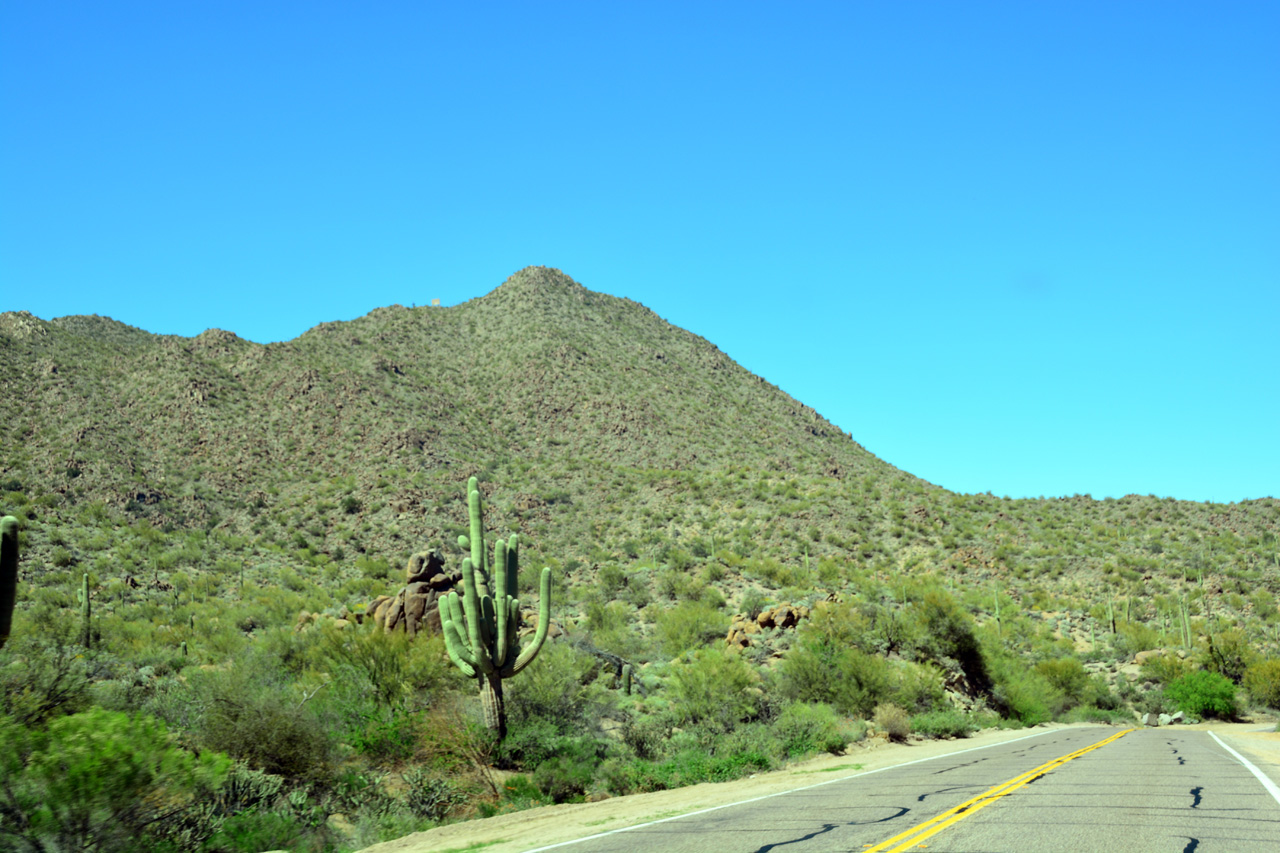 2015-03-25, 002, Saguaro Lake, Tonto NF, AZ