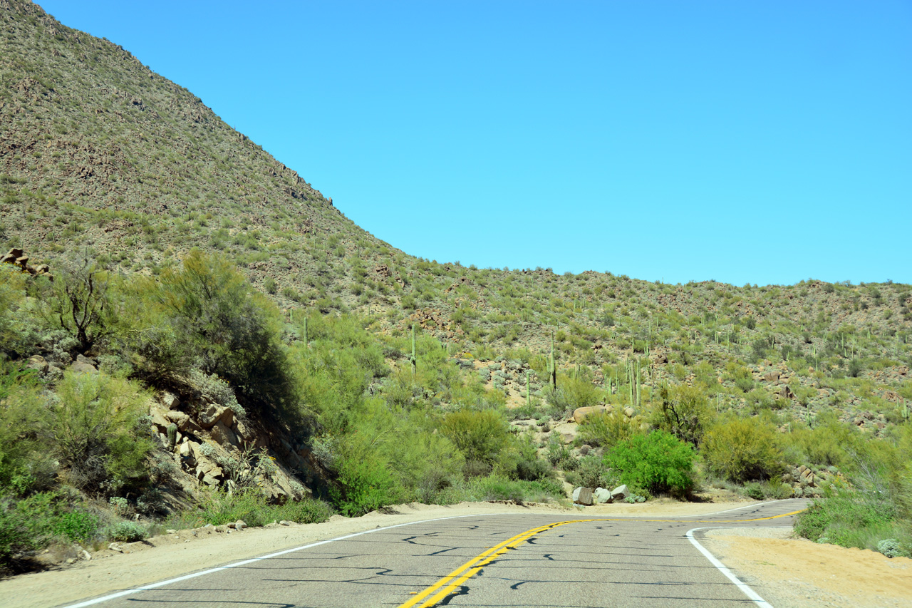 2015-03-25, 003, Saguaro Lake, Tonto NF, AZ