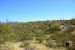 2015-03-25, 017, Saguaro Lake, Tonto NF, AZ