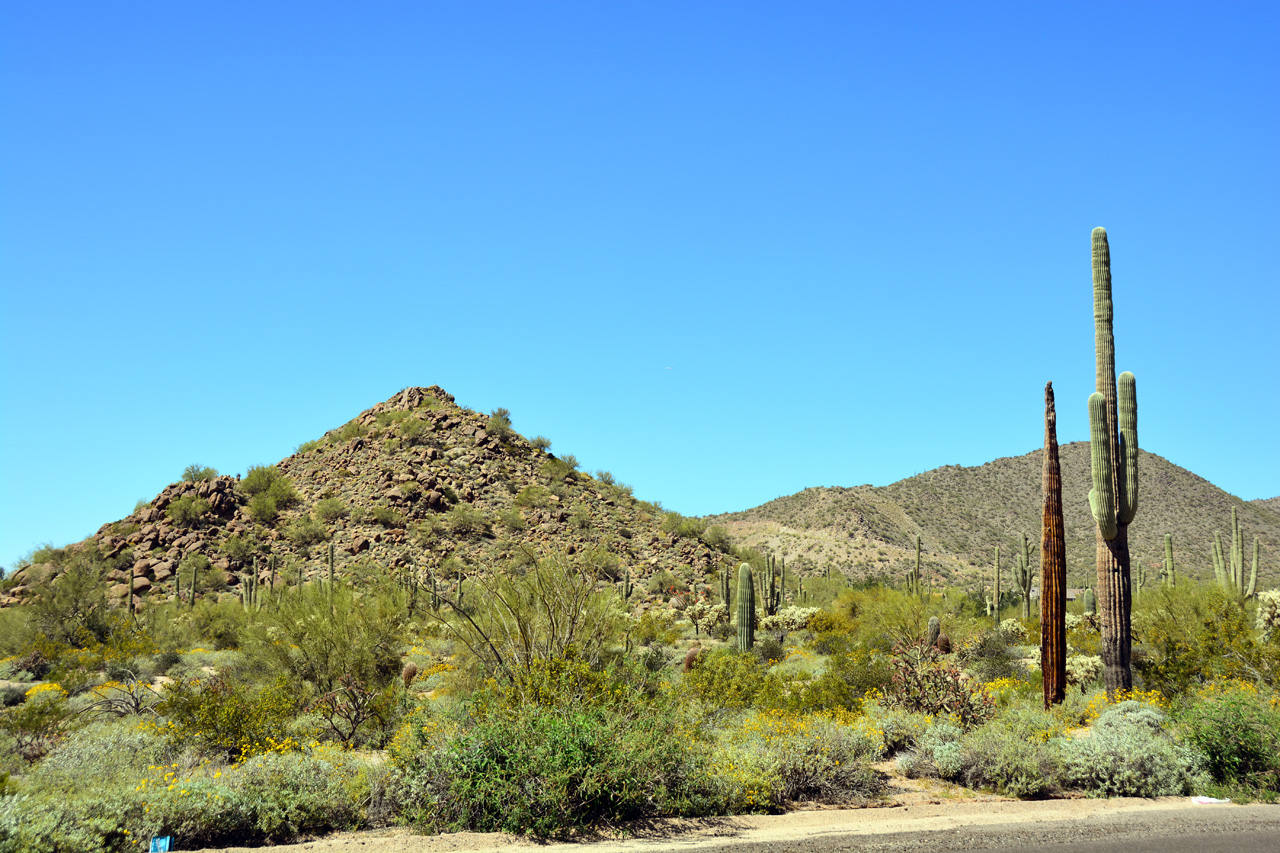 2015-03-26, 004, Tonto National Forest, AZ