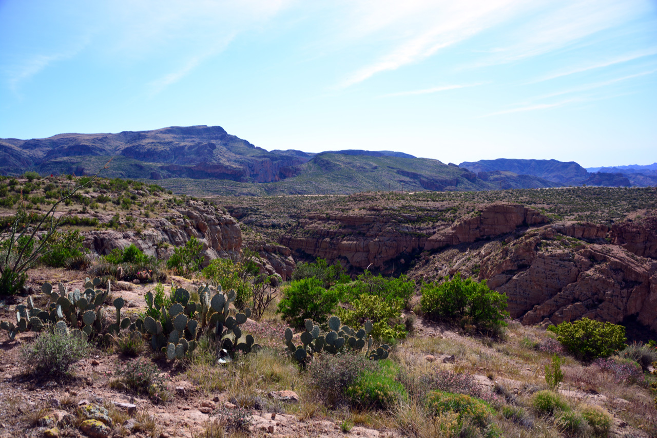 2015-03-26, 015, Tonto National Forest, AZ