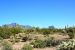 2015-03-26, 003, Tonto National Forest, AZ