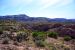 2015-03-26, 015, Tonto National Forest, AZ