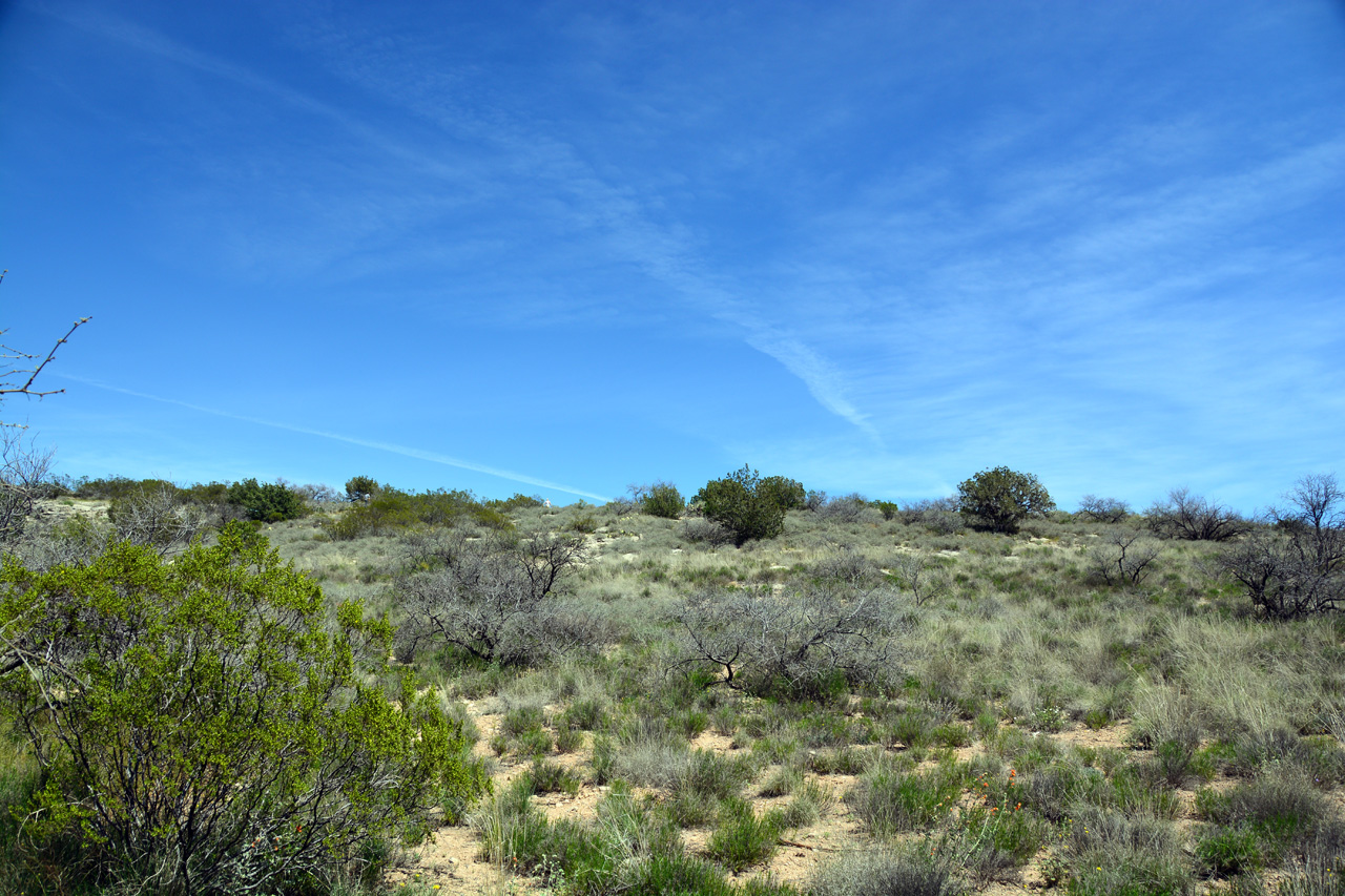 2014-04-03, 032, Montezuma Well National Monument, AZ