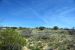 2014-04-03, 032, Montezuma Well National Monument, AZ