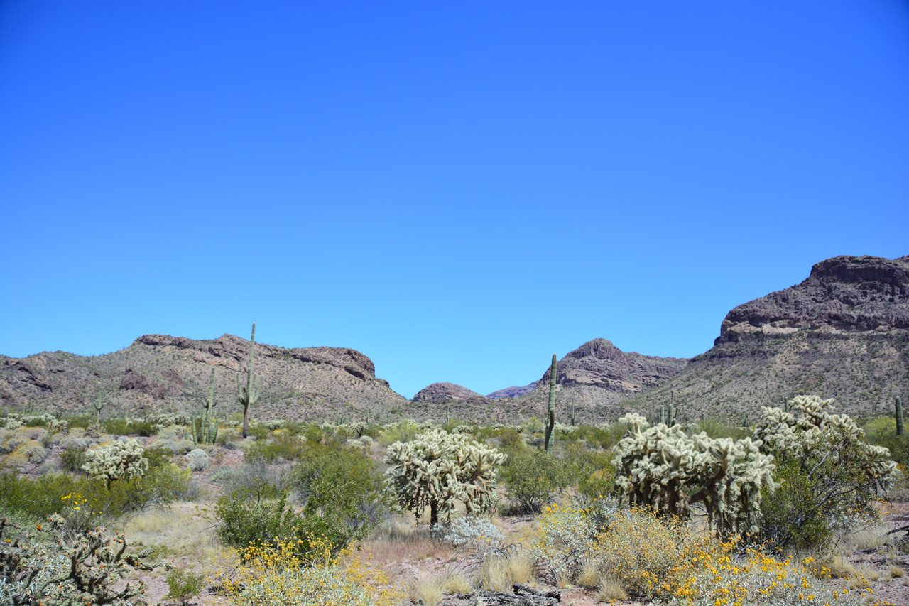 2015-04-08, 012, Ajo Mtn, Dr, Organ Pipe Cactus NP, AZ