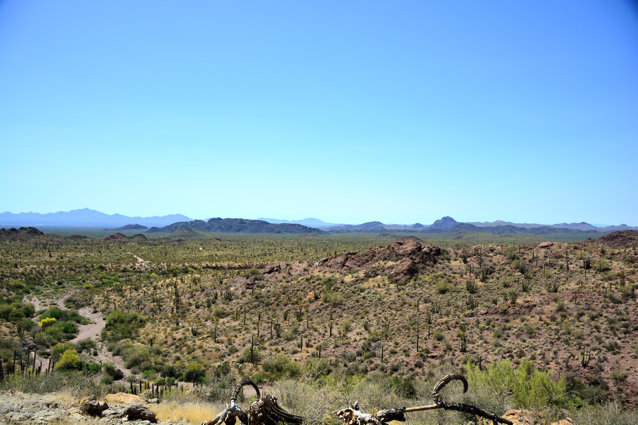 2015-04-08, 014, Ajo Mtn, Dr, Organ Pipe Cactus NP, AZ