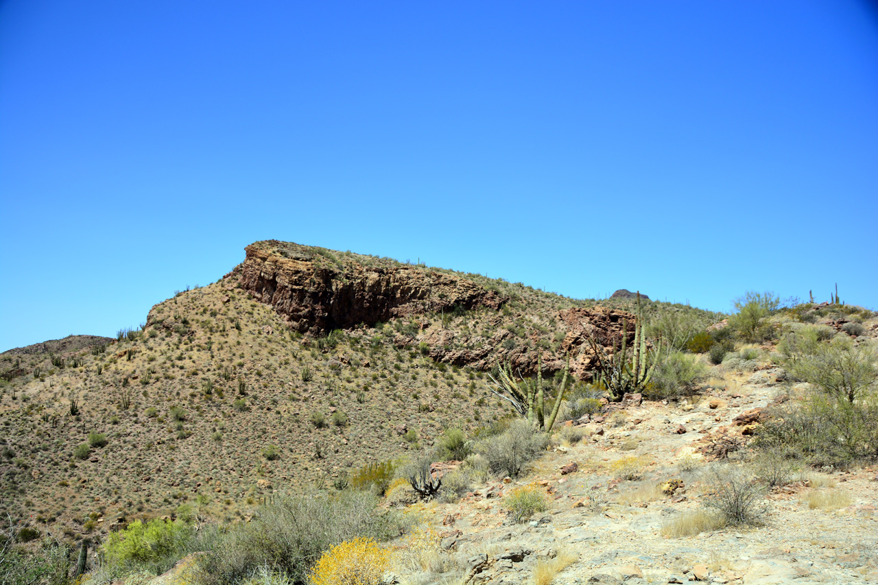 2015-04-08, 015, Ajo Mtn, Dr, Organ Pipe Cactus NP, AZ