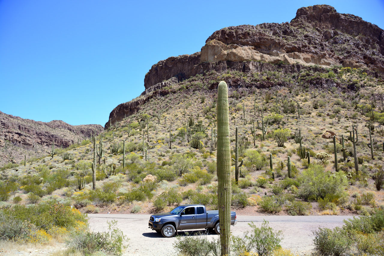 2015-04-08, 016, Ajo Mtn, Dr, Organ Pipe Cactus NP, AZ