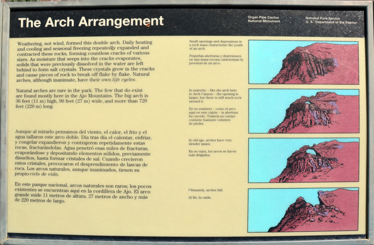 2015-04-08, 027, Ajo Mtn, Dr, Organ Pipe Cactus NP, AZ