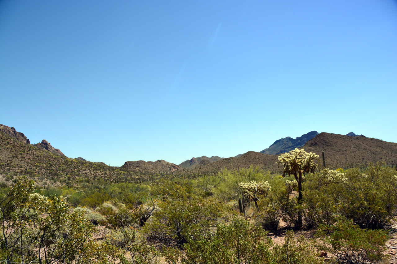 2015-04-08, 031, Ajo Mtn, Dr, Organ Pipe Cactus NP, AZ