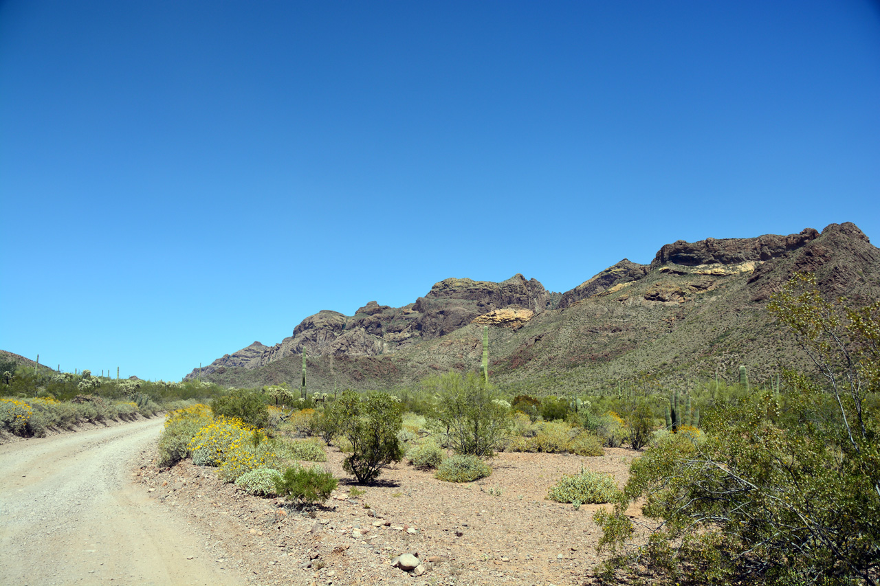 2015-04-08, 033, Ajo Mtn, Dr, Organ Pipe Cactus NP, AZ