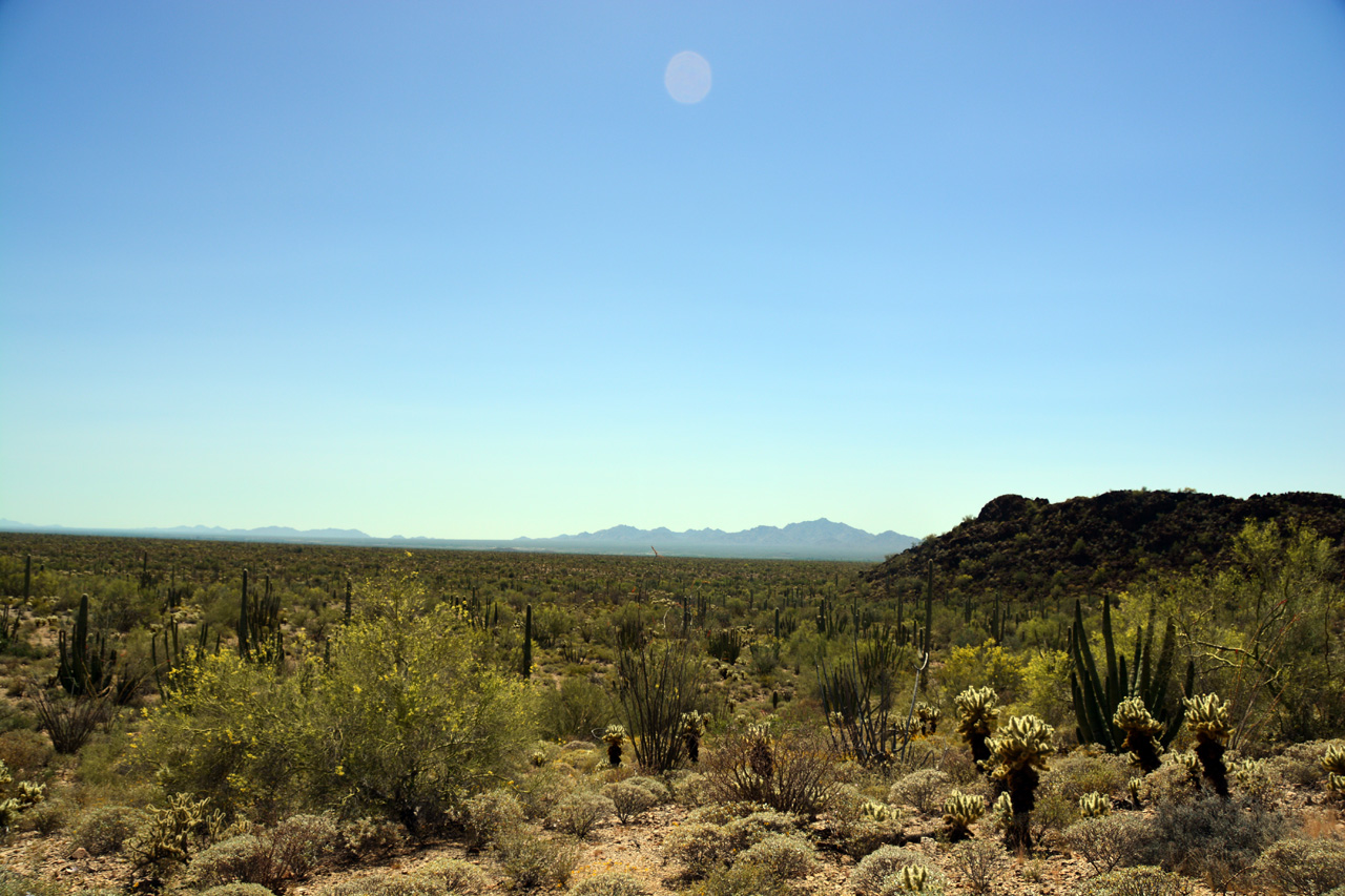 2015-04-08, 034, Ajo Mtn, Dr, Organ Pipe Cactus NP, AZ