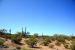 2015-04-08, 004, Ajo Mtn, Dr, Organ Pipe Cactus NP, AZ