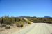 2015-04-08, 005, Ajo Mtn, Dr, Organ Pipe Cactus NP, AZ