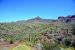 2015-04-08, 017, Ajo Mtn, Dr, Organ Pipe Cactus NP, AZ