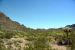 2015-04-08, 032, Ajo Mtn, Dr, Organ Pipe Cactus NP, AZ