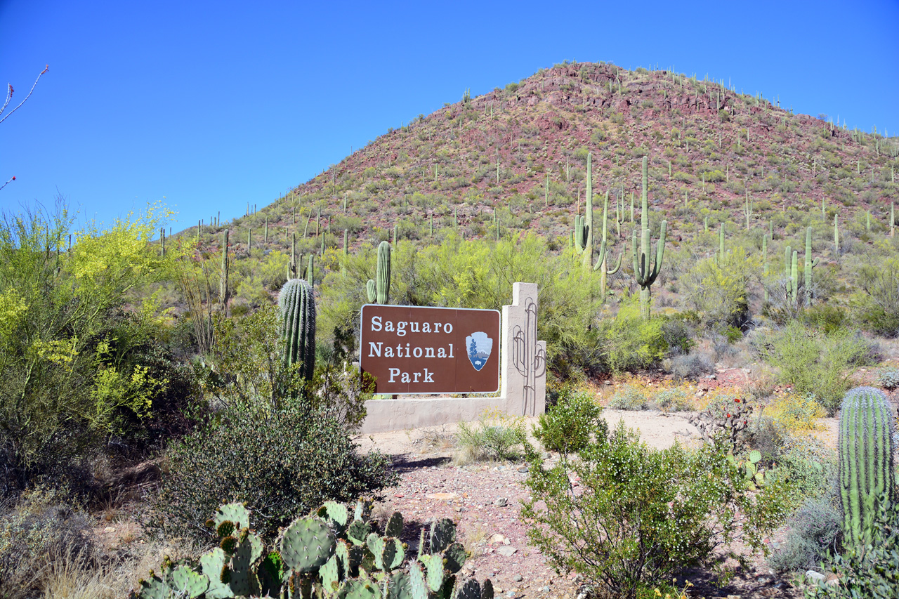 2015-04-08, 001, Hohokam Rd, Saguaro NP, AZ