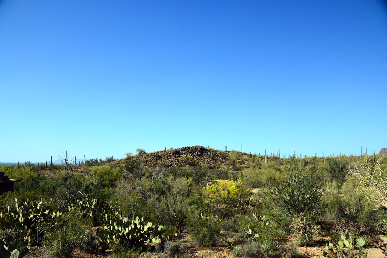 2015-04-08, 013, Hohokam Rd, Saguaro NP, AZ