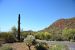 2015-04-08, 003, Hohokam Rd, Saguaro NP, AZ