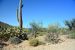 2015-04-08, 006, Hohokam Rd, Saguaro NP, AZ