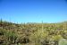 2015-04-08, 017, Hohokam Rd, Saguaro NP, AZ