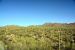 2015-04-08, 018, Hohokam Rd, Saguaro NP, AZ