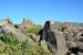 2015-04-08, 025, Hohokam Rd, Saguaro NP, AZ