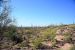 2015-04-08, 027, Hohokam Rd, Saguaro NP, AZ