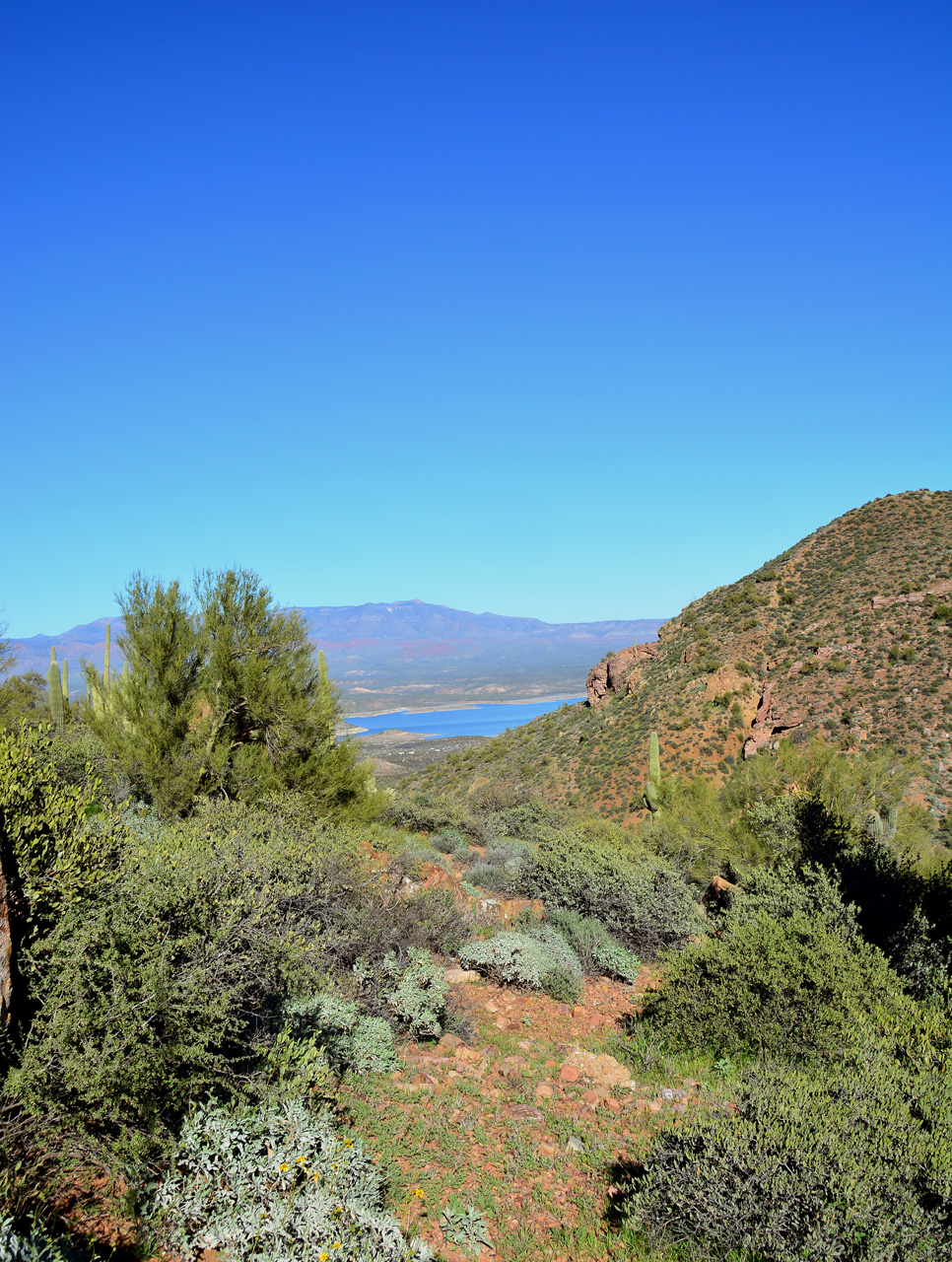 2016-02-17, 006, Tonto NM, AZ