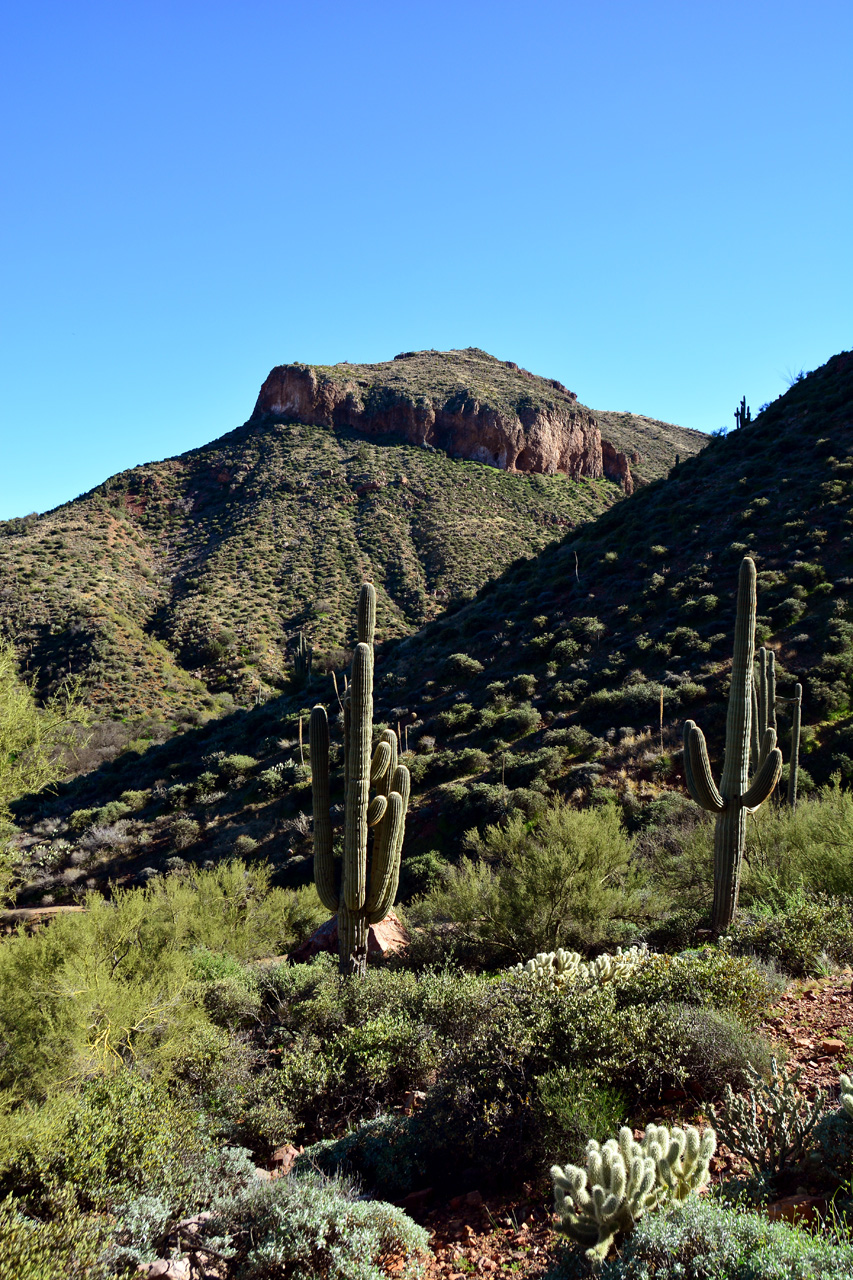 2016-02-17, 007, Tonto NM, AZ