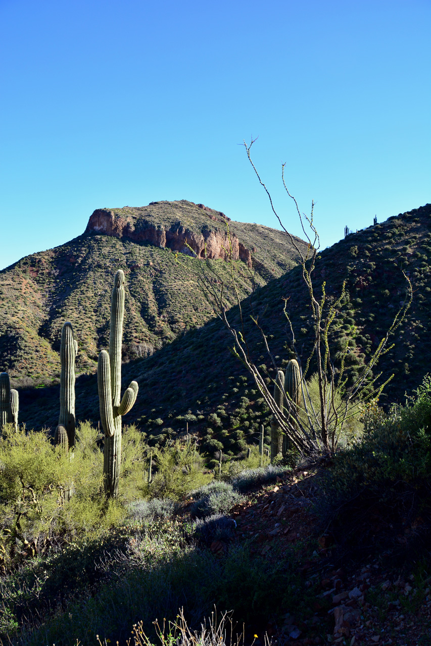 2016-02-17, 036, Tonto NM, AZ