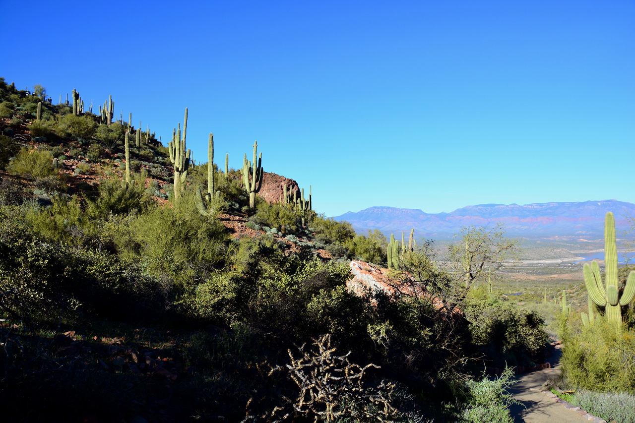 2016-02-17, 037, Tonto NM, AZ