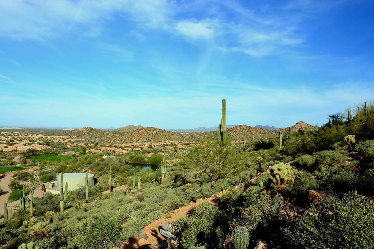 2016-03-03, 006, Trail along Dinosaur Mtn, AZ