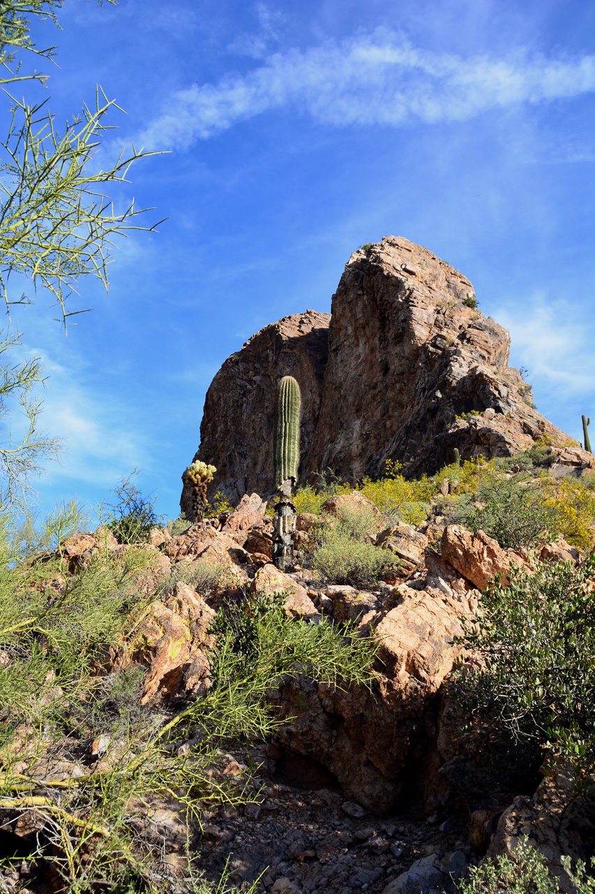 2016-03-03, 010, Trail along Dinosaur Mtn, AZ