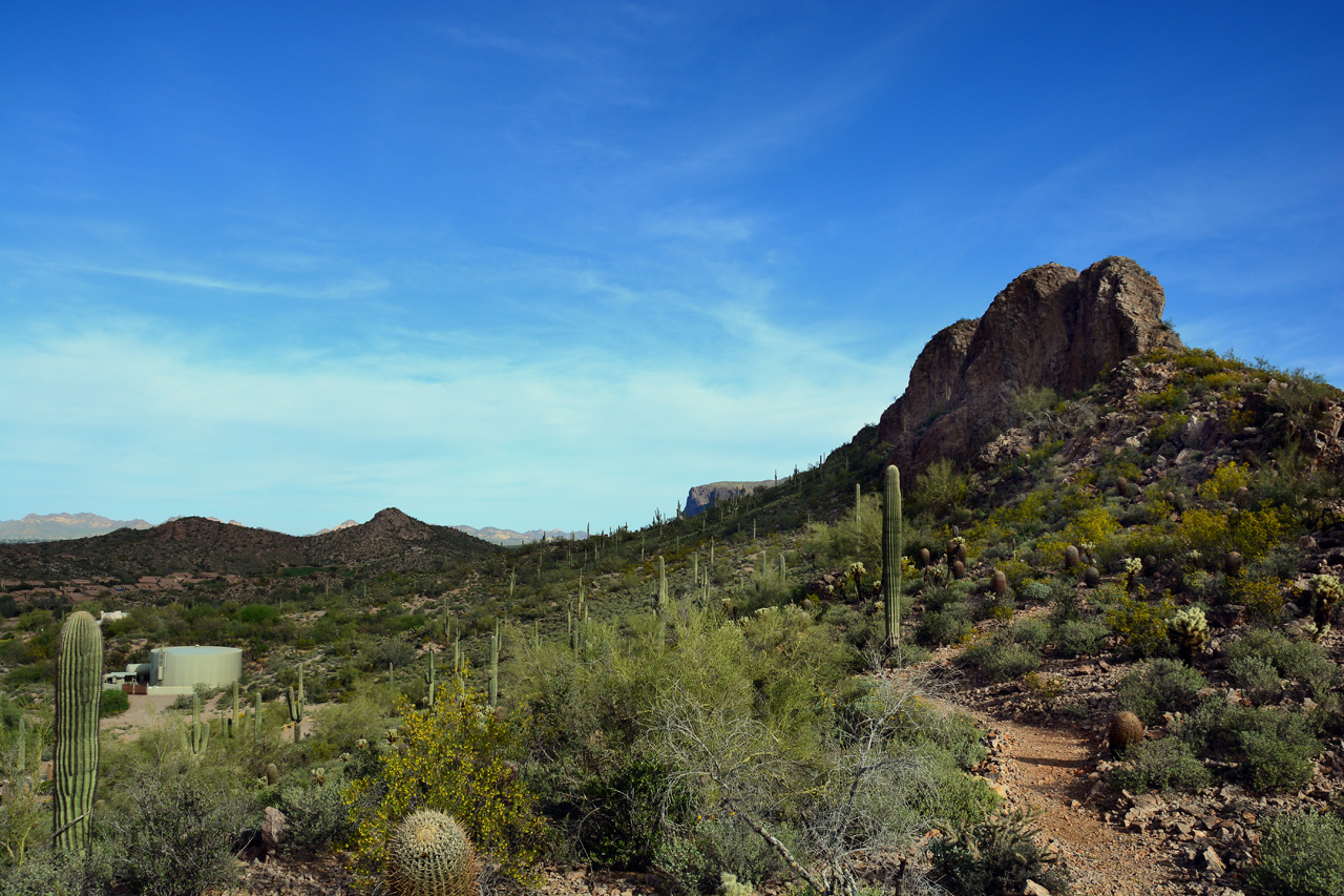 2016-03-03, 016, Trail along Dinosaur Mtn, AZ