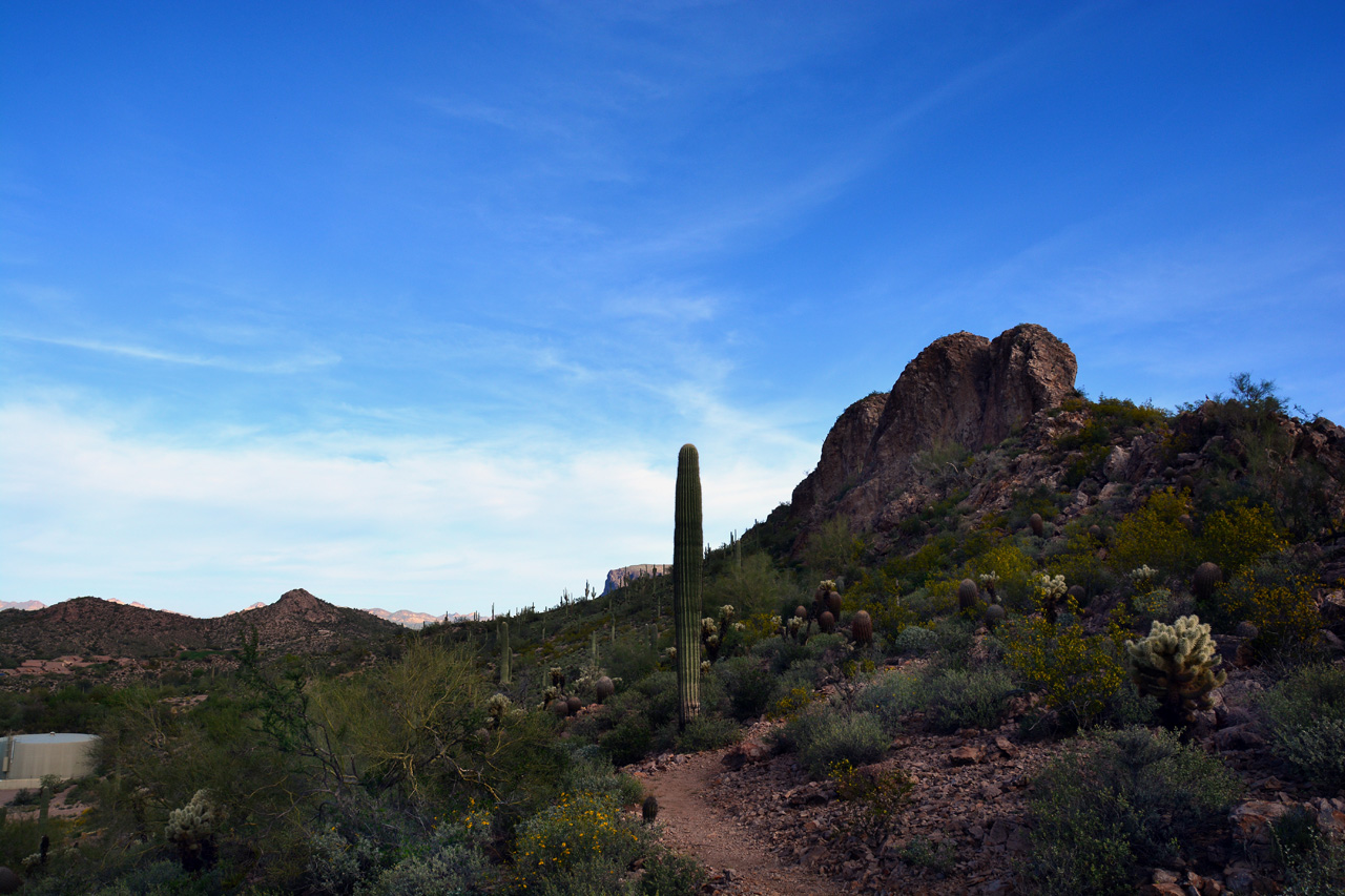 2016-03-03, 020, Trail along Dinosaur Mtn, AZ