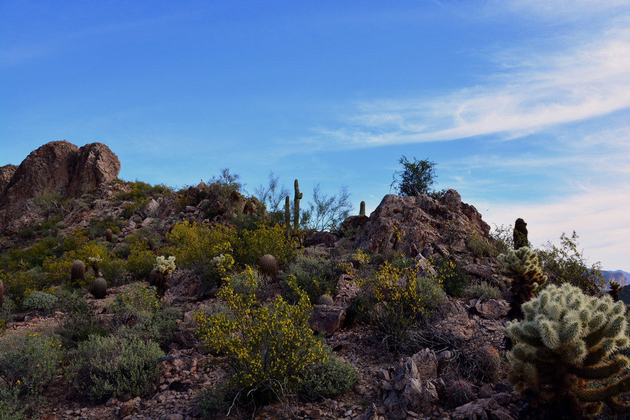 2016-03-03, 023, Trail along Dinosaur Mtn, AZ