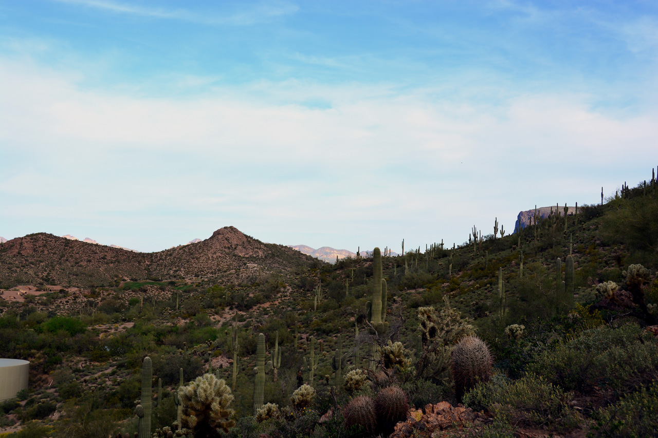 2016-03-03, 024, Trail along Dinosaur Mtn, AZ