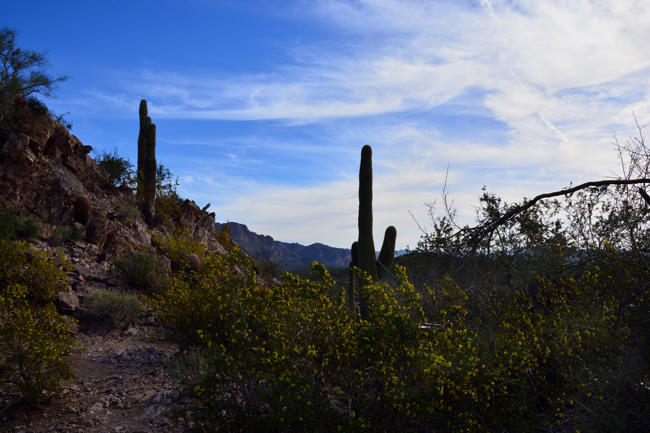 2016-03-03, 025, Trail along Dinosaur Mtn, AZ