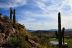 2016-03-03, 014, Trail along Dinosaur Mtn, AZ