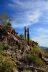 2016-03-03, 015, Trail along Dinosaur Mtn, AZ