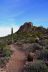 2016-03-03, 021, Trail along Dinosaur Mtn, AZ