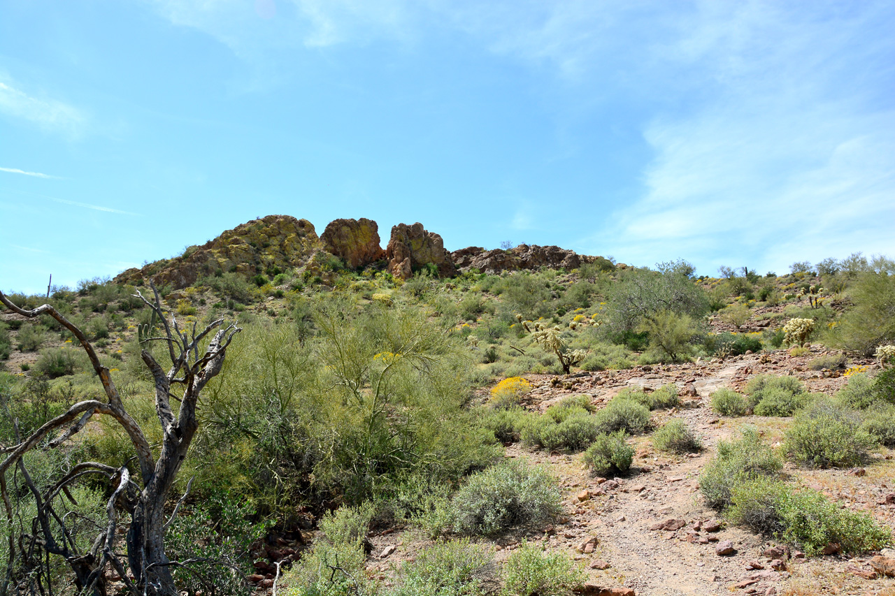 2016-03-14, 003, Mountian Brook Village Trail