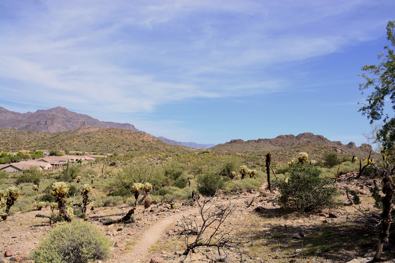 2016-03-14, 007, Mountian Brook Village Trail