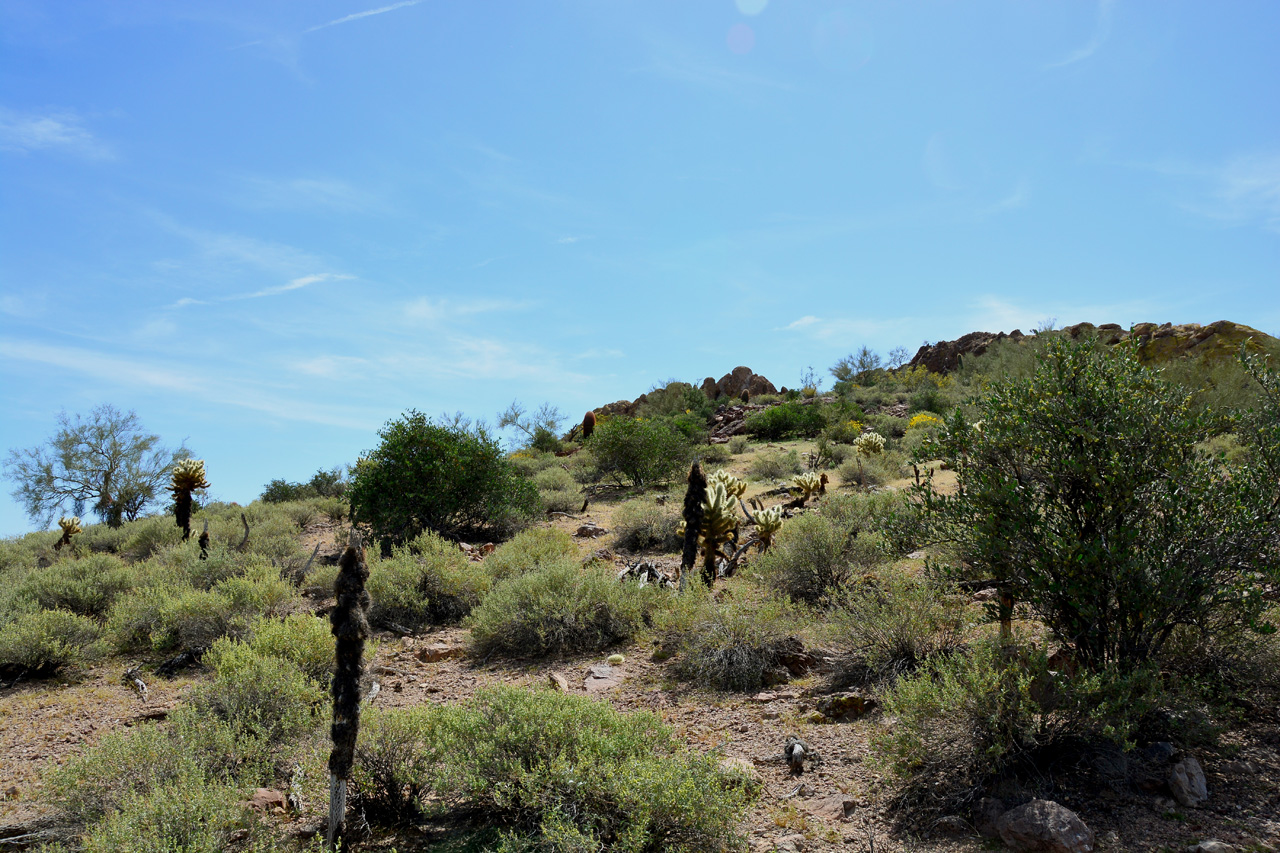 2016-03-14, 008, Mountian Brook Village Trail