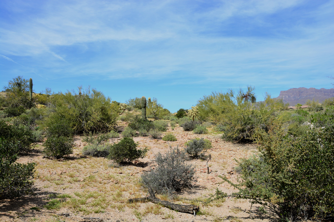 2016-03-14, 012, Mountian Brook Village Trail