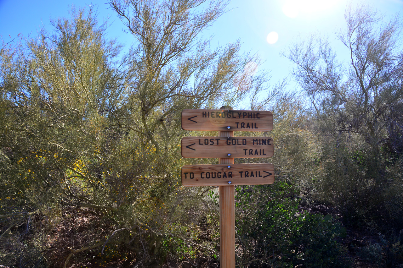 2016-03-24, 002, Hieroglyphic Trail, Tonto NF, AZ