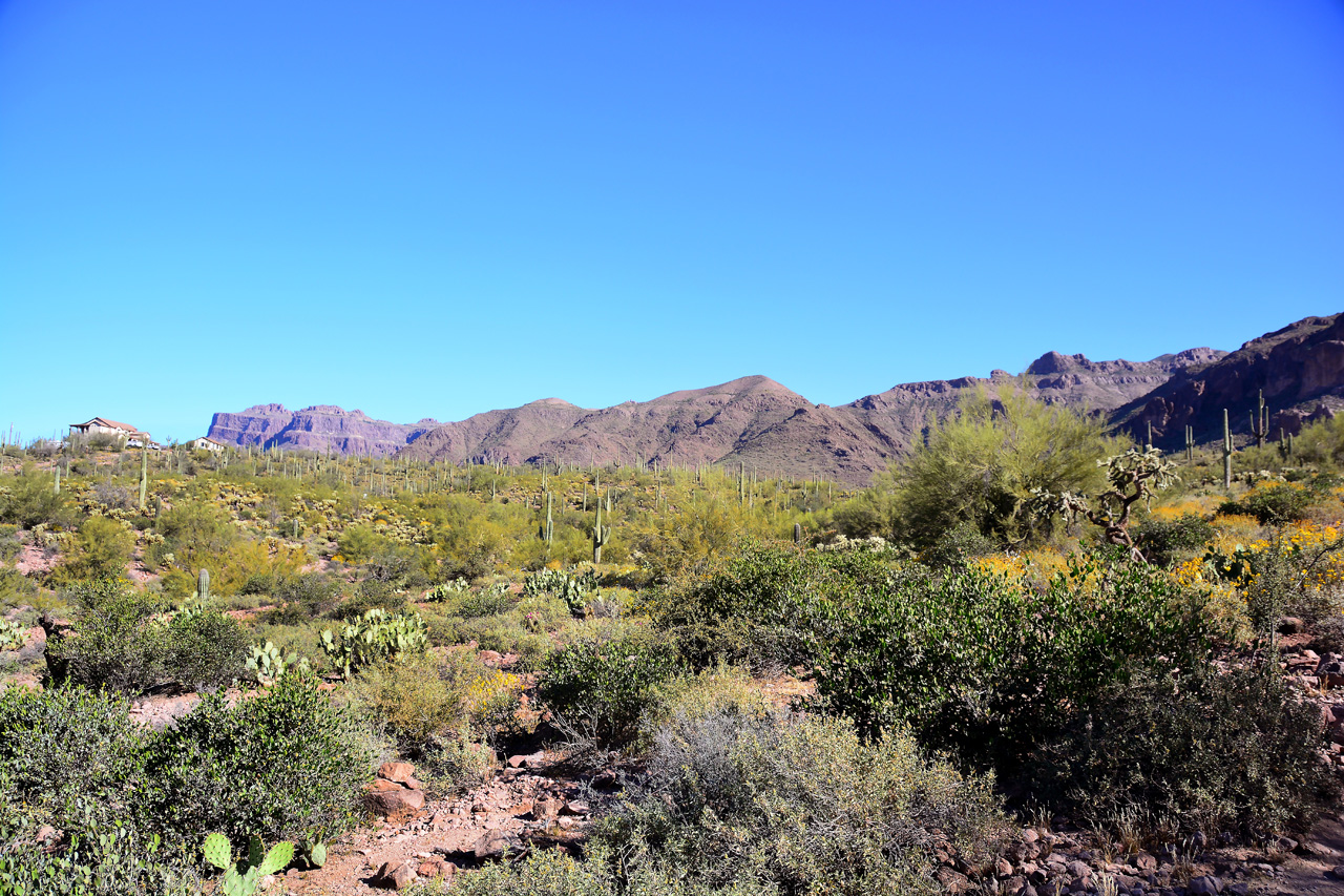 2016-03-24, 004, Hieroglyphic Trail, Tonto NF, AZ