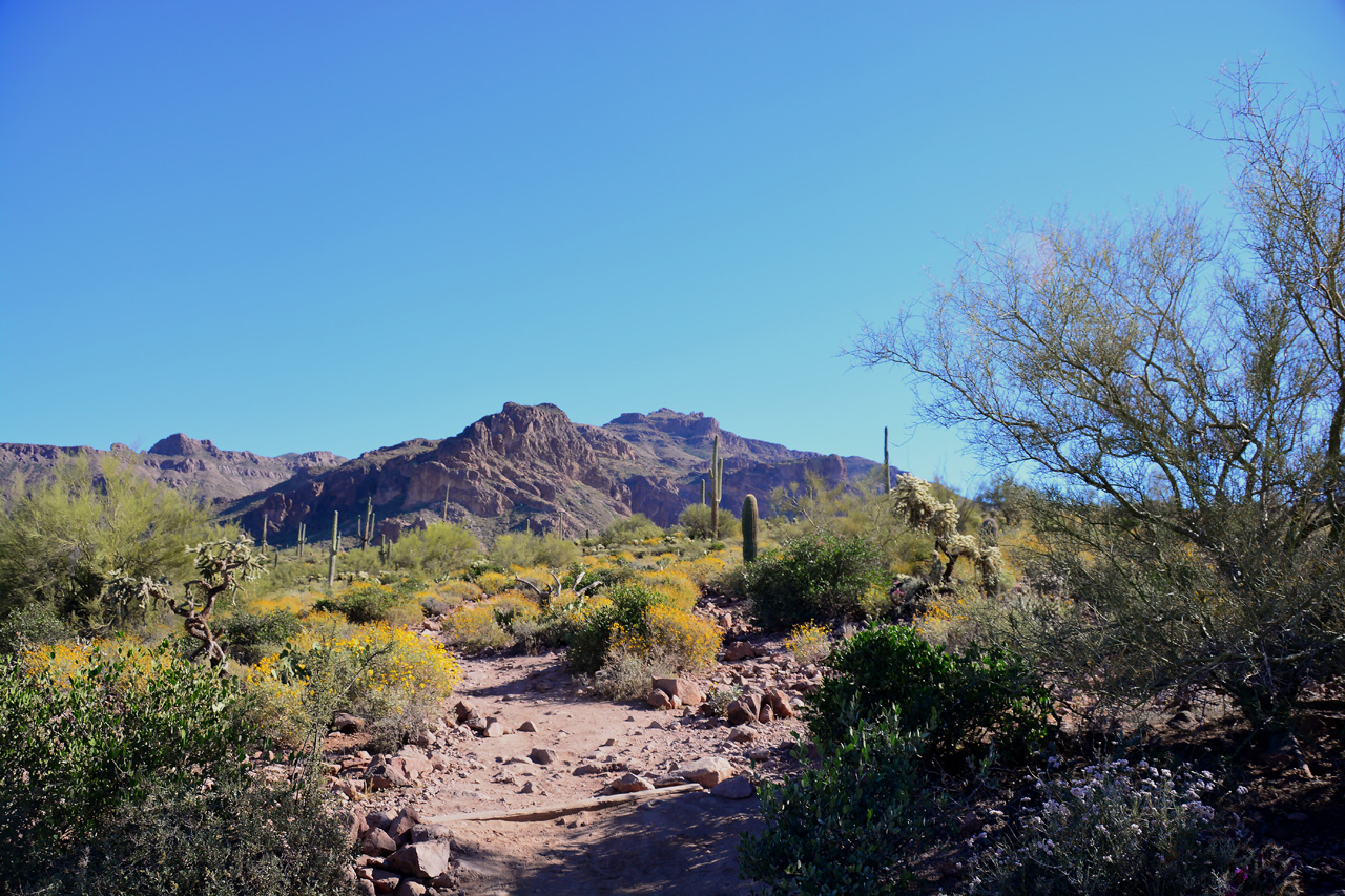 2016-03-24, 005, Hieroglyphic Trail, Tonto NF, AZ